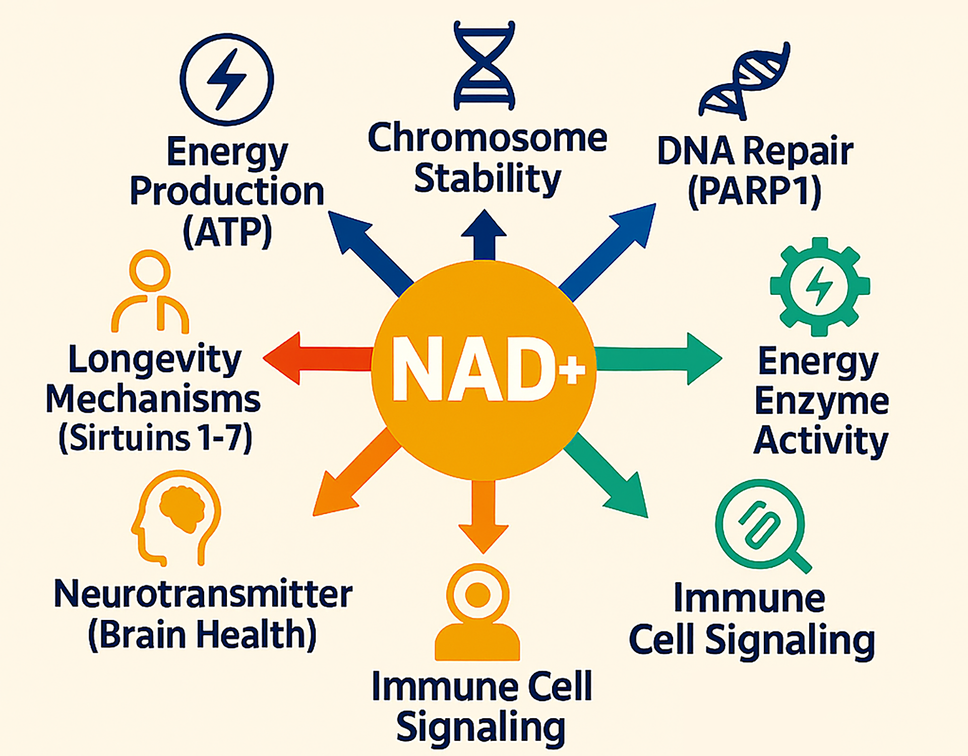 Medspa and Wellness Clinic Therapy Lakeland FLorida - Nad Therapy Lakeland Florida